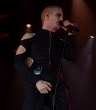 Damiano_4-1.jpg
