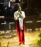 sipausa_59447416.jpg