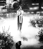 sipausa_59447419.jpg