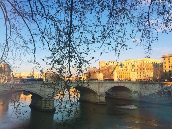 Clique para ver imagem em tamanho real
==============
2021-12-26_03_21_06.jpeg 2021-12-26_03_21_06.jpeg