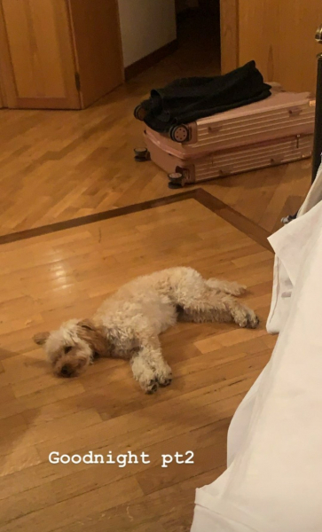 2021-12-27_00_31_44.jpeg